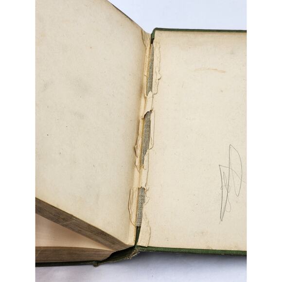 The Prodigal ProTem By Frederick Orin Bartlett Illustrated Antiquarian 1910 - Picture 4 of 11